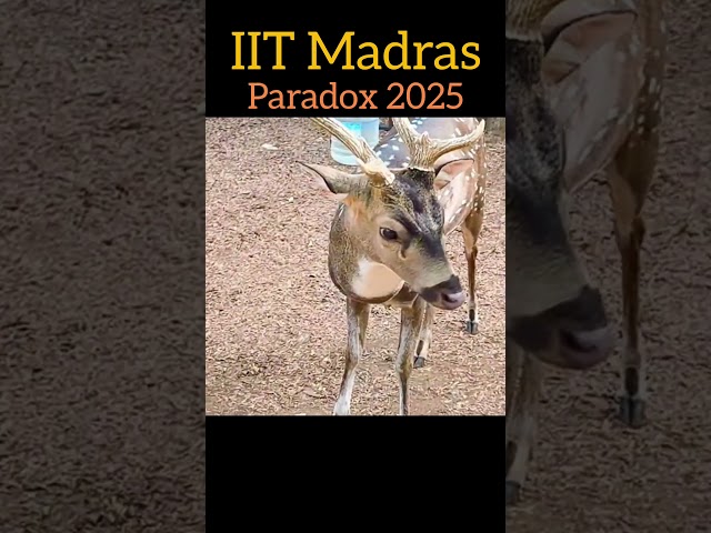 paradox 2025 ✨ #iittm #shortsfeed #ytshorts #shorts