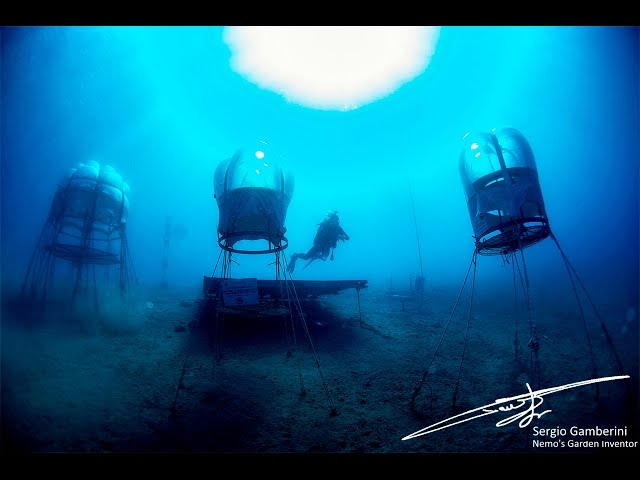 Nemo's Garden - 3D movie