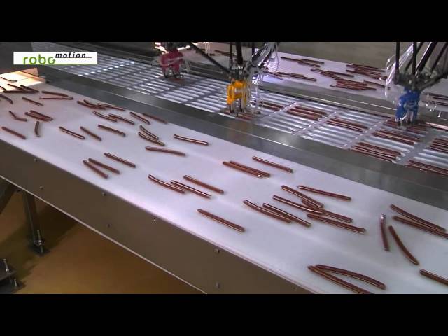 ABB Robotics - Picking and packing salami snacks