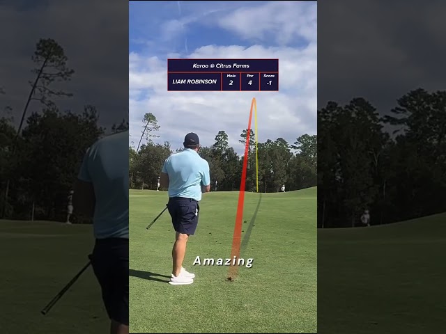 Cabot Citrus Farms - Holes 1 -4