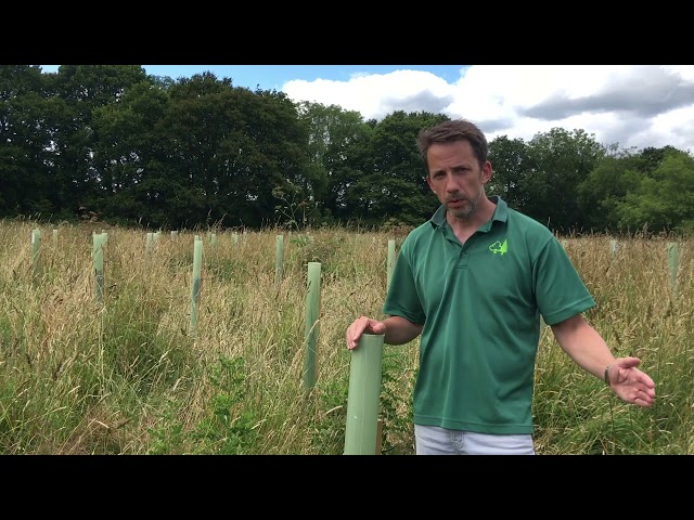 Hear more about the Countryside Stewardship Woodland Creation Grant