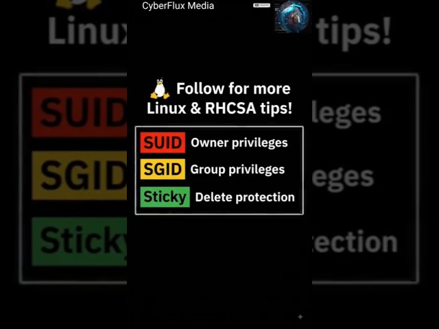 🔐 SUID vs SGID vs Sticky Bit Explained | Linux RHCSA #linux