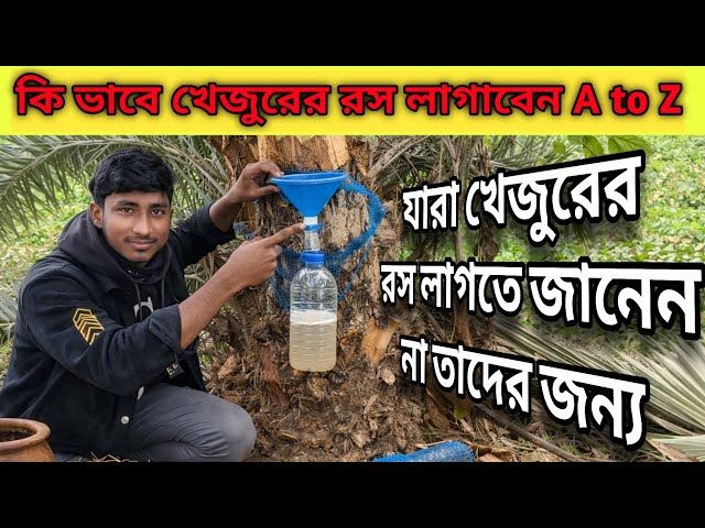 কিভাবে খেজুরের রস লাগাবেন,খেজুরের রস লাগাতে কি কি করা লাগে A to Z,খেজুরের গাছ কাটার পদ্ধতি,mr trazys