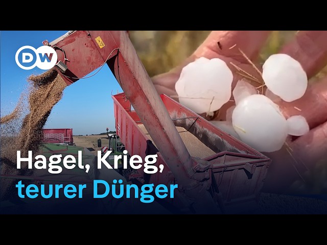 Bauern in Sorgen: Extremwetter und Krieg in der Ukraine