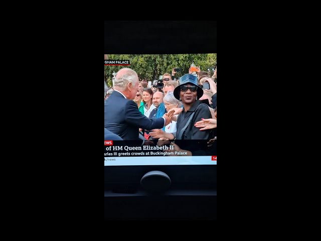 New King gets pied off by fame hungry woman