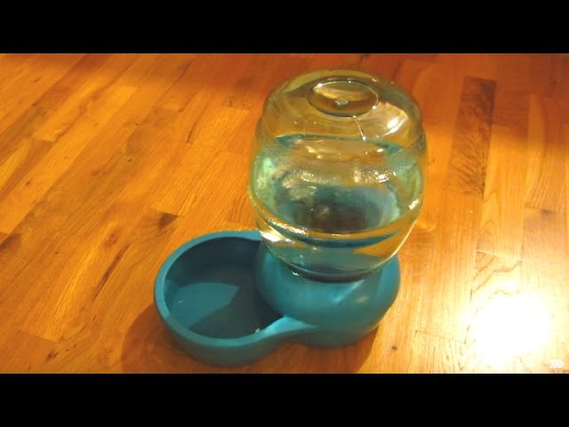 Petco Petmate Water Dispenser Part 4 - Water Demo