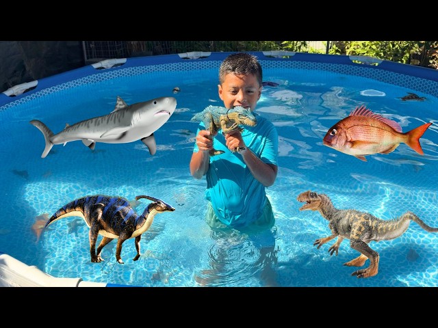 Which Dinosaurs and Animals Sink and Float? Pool Collection Play