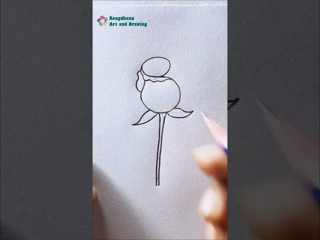 Rose Flower Drawing Step by Step | Easy Rose Drawing Tutorial