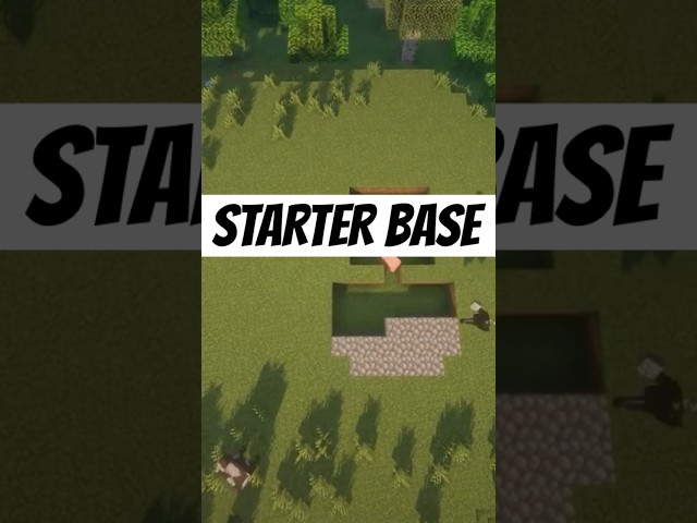 The best starter base