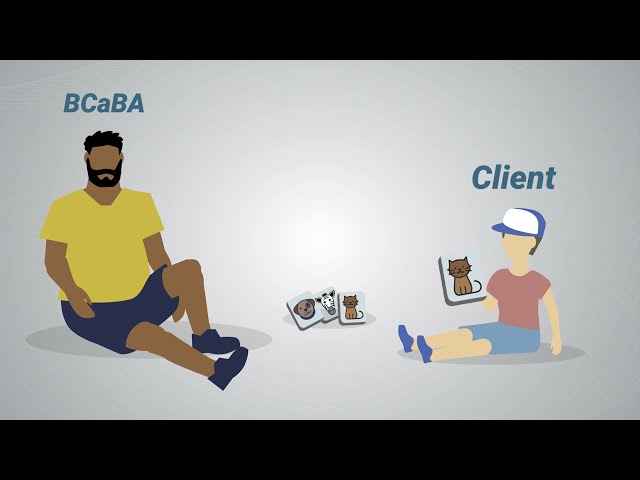 What Is a BCaBA?