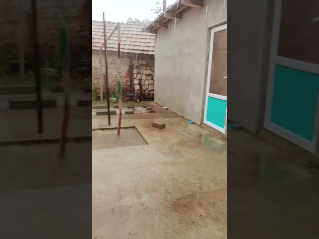 real rain 2.0