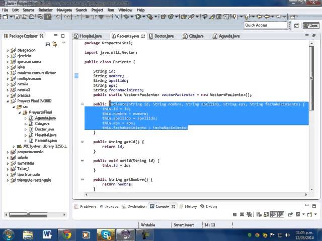 proyecto final en java