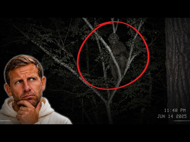 Trail Cam Captures Mysterious Creature Hiding in the Branches
