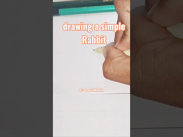 drawing a simple Rabbit ✍️🐇 #art #drawing #shorts #trending