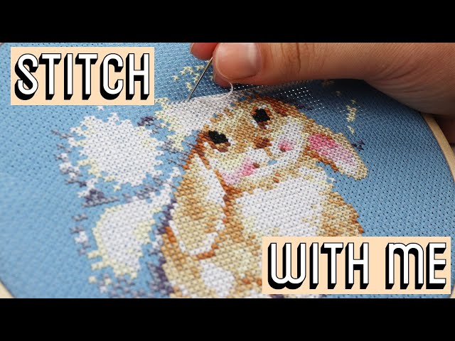 REAL-TIME STITCHING [CC] || Cross Stitch