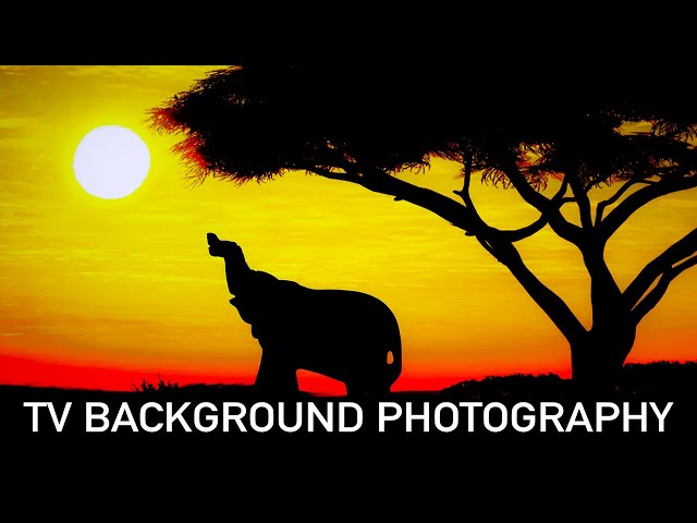 Amazing TV Background Photography | Lockdown