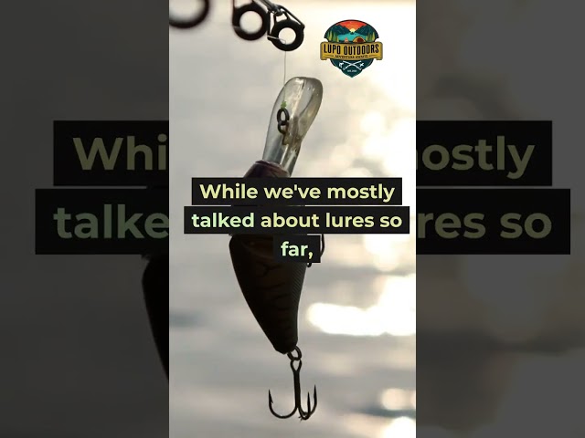 Fall Bass Fishing Hack Your Tackle Box Needs #bassfishing #fishing #shorts