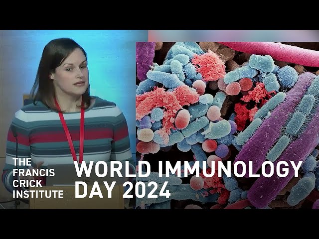 Immunity and Pregnancy in Early Life - Panel Discussion