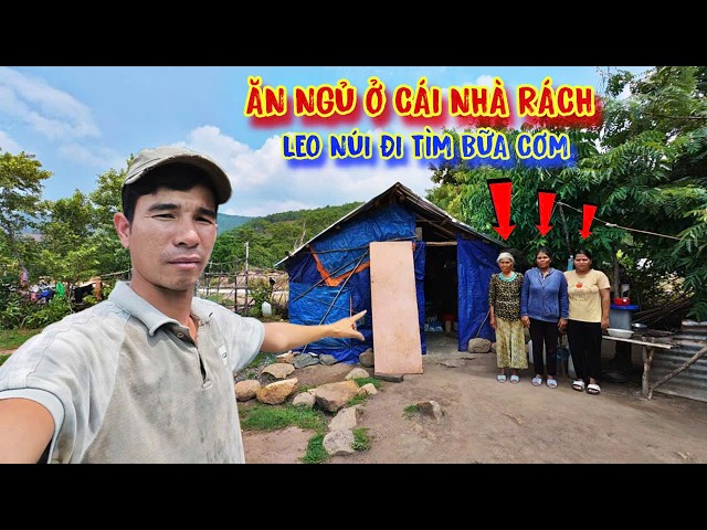 GIA ĐÌNH nhà nghèo, ở tạm trong cái lều, leo núi đi tìm từng BỮA ĂN - tập 1871