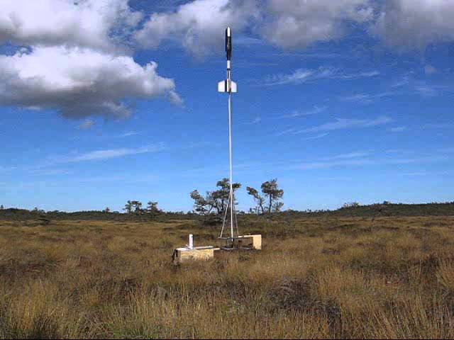Pulse jet model rocket part 3, first flight!