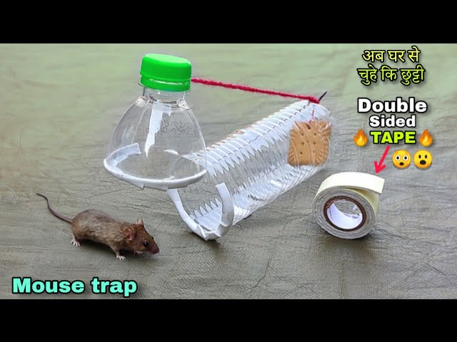 😲Double sided tape mouse/rat Trap🔥 | Make a mouse/rat trap using double sided tape and bottle | 2025