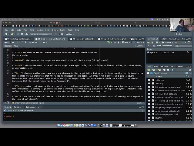 How to use {pointblank} to understand, validate, and document your data