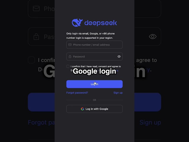 How to access DeepSeek R1