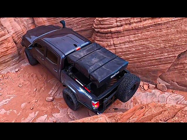 This Tacoma Needs More Than A Rescue.