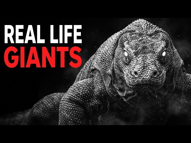 Why Islands Breed Giant Animals
