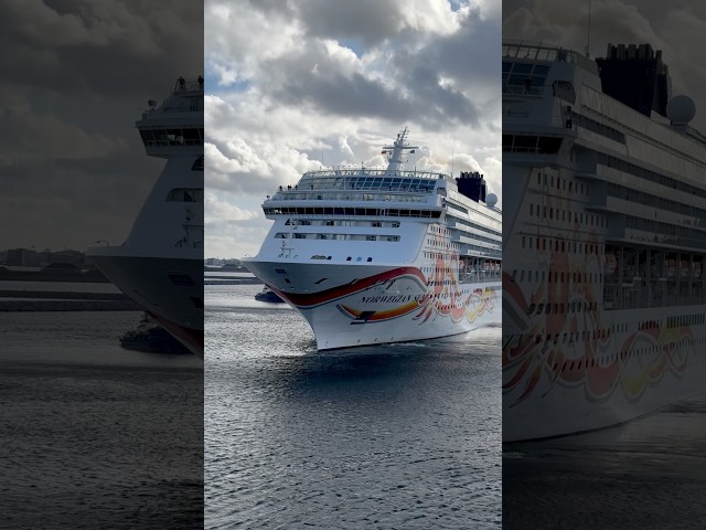 Norwegian Sun Cruise Ship #cruiseship #nclcruise