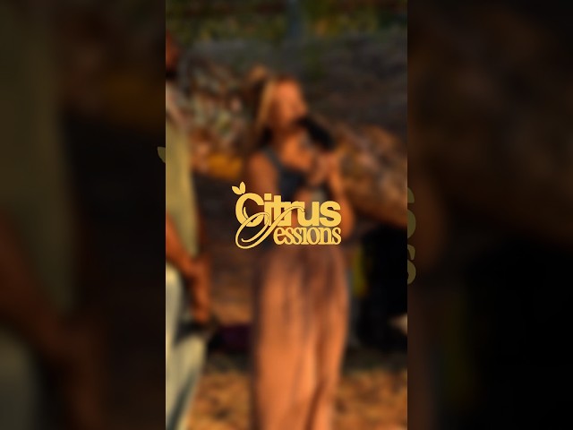 Our next Citrus Session with Ni/Co drops tomorrow 🍋✨