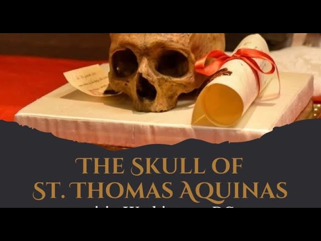 LIVESTREAM - Veneration of the Skull of St. Thomas Aquinas - Fr. Gregory Pine, O.P.