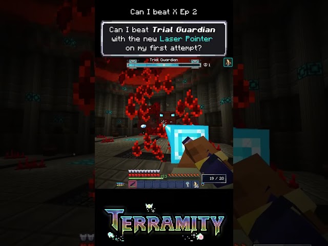 Can I beat Trial Guardian with just a Laser Pointer? | "Can I beat X" Episode 2 #terramity #mc #mod