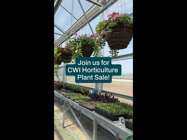 Horticulture Plant Sale