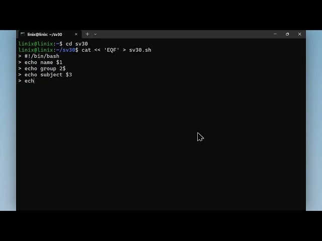 Shell Script (Parameters and Arguments), Typing