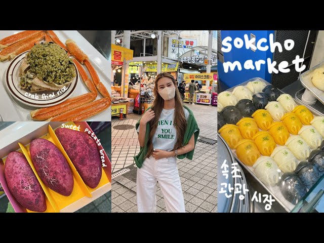 sokcho market korean street food 🇰🇷 king crabs, squid soondae, makgeolli bread, honeycomb ice cream