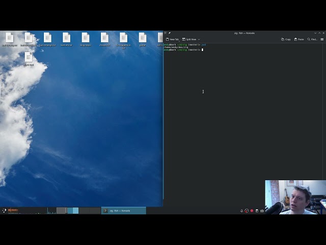 "Zig ⚡ Live Coding ⚡ Build System Phase Separation" [April 23 - 2026]
