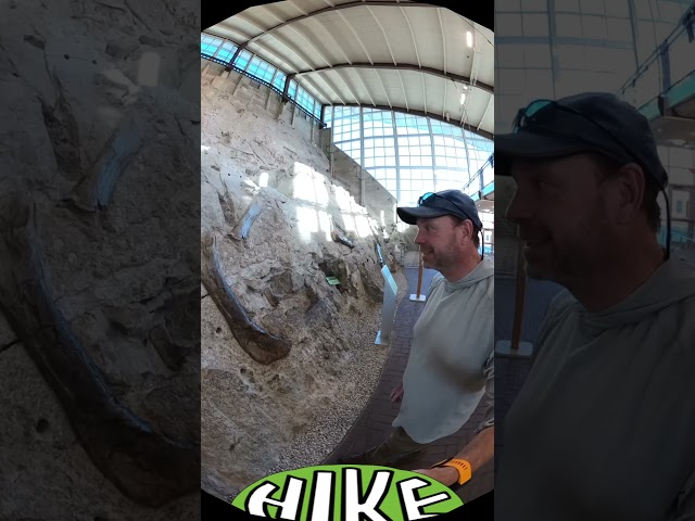Touching 150 million year old Dinosaur Bones. Dinosaur National Monument, UT (Hike 360° VR Video)