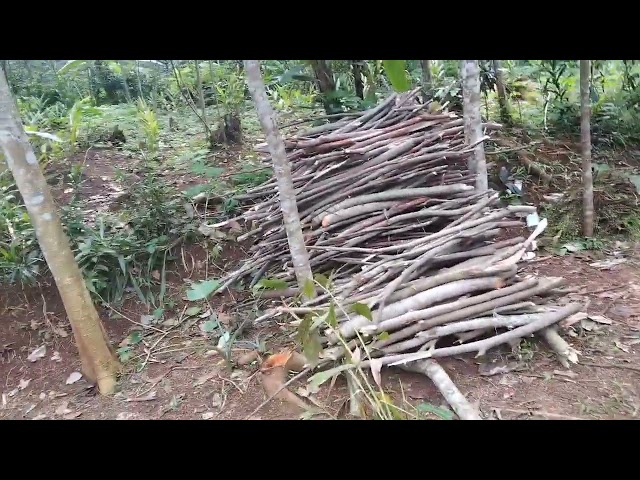 Vlogg liburan sekolah🔥