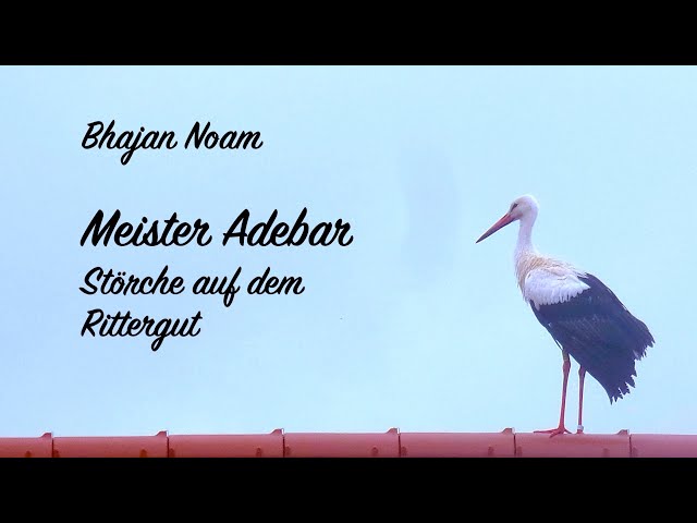 Bhajan Noam: Meister Adebar - Störche auf dem Rittergut