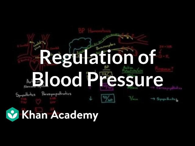 Regulation of blood pressure with baroreceptors | NCLEX-RN | Khan Academy