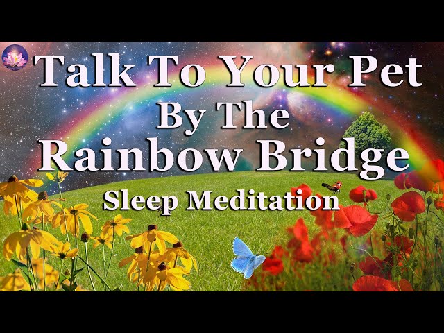 Meet Your Beloved Pet In Spirit At The 🌈 Rainbow Bridge Guided Meditation (432 Hz Binaural Beats)