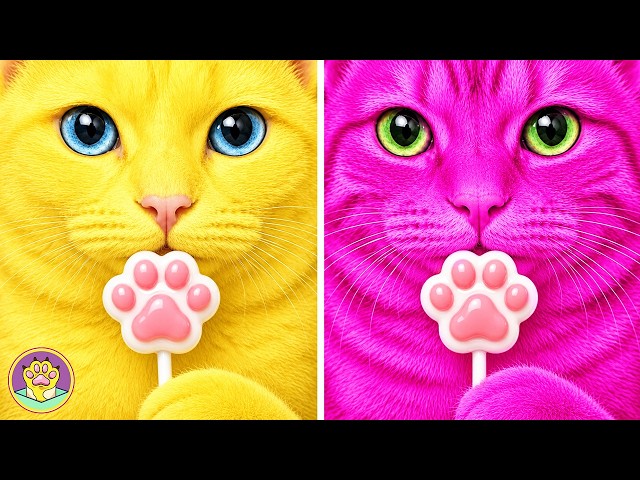 😻 This Cat Has Some Genius Ideas! 🐾 Testing Viral Hacks, DIY Crafts & Gadgets