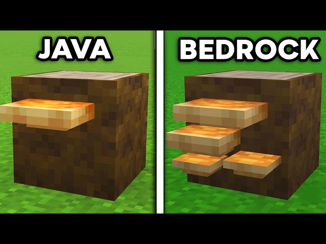 113 Java vs Bedrock Differences