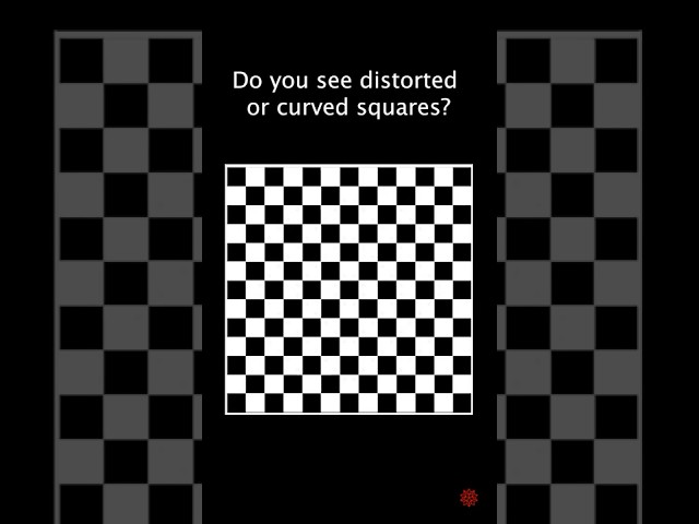 Warped Squares #opticalillusion #illusion #mindblowingfacts #computationalart