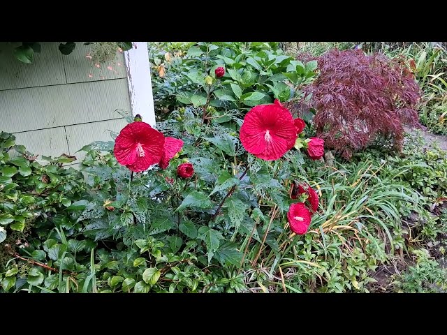 The Astrology of September 21, 2026: Perfect problem solving weather...