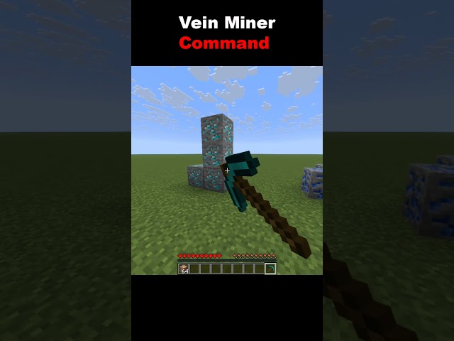 Vein miner#minecraft #relatable #usa