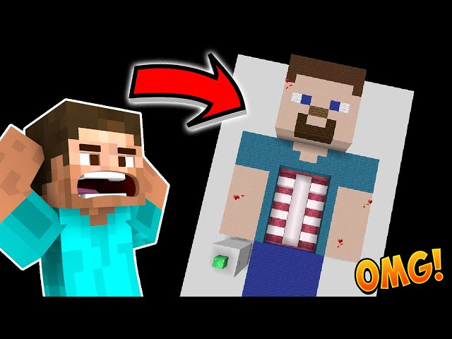 So I became a Doctor in Minecraft...