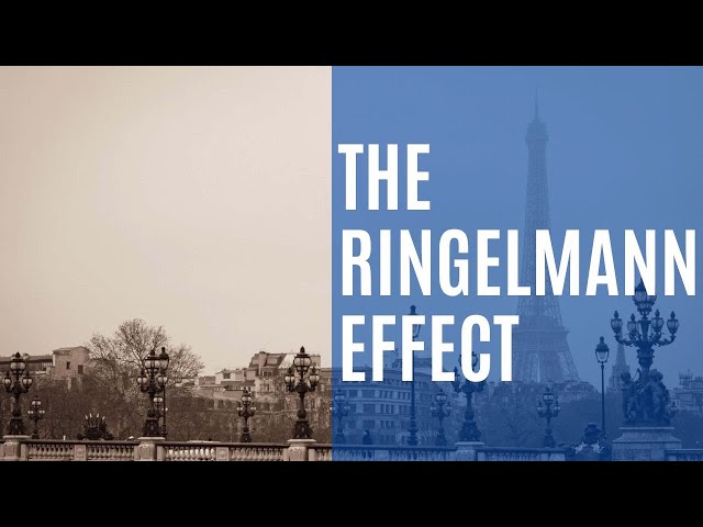 Are people naturally lazy? | The Ringelmann Effect | Crazy Science #3