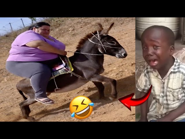 TRY NOT TO LAUGH 🤣 Best Funny Videos Compilation 😂😁😆 Memes PART 23